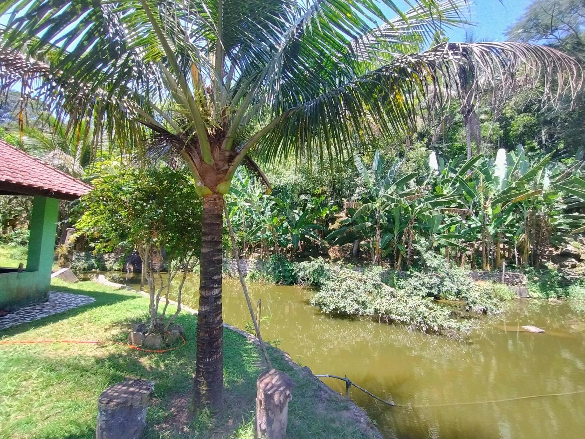 Pousada Tucunare Peruíbe Exterior foto